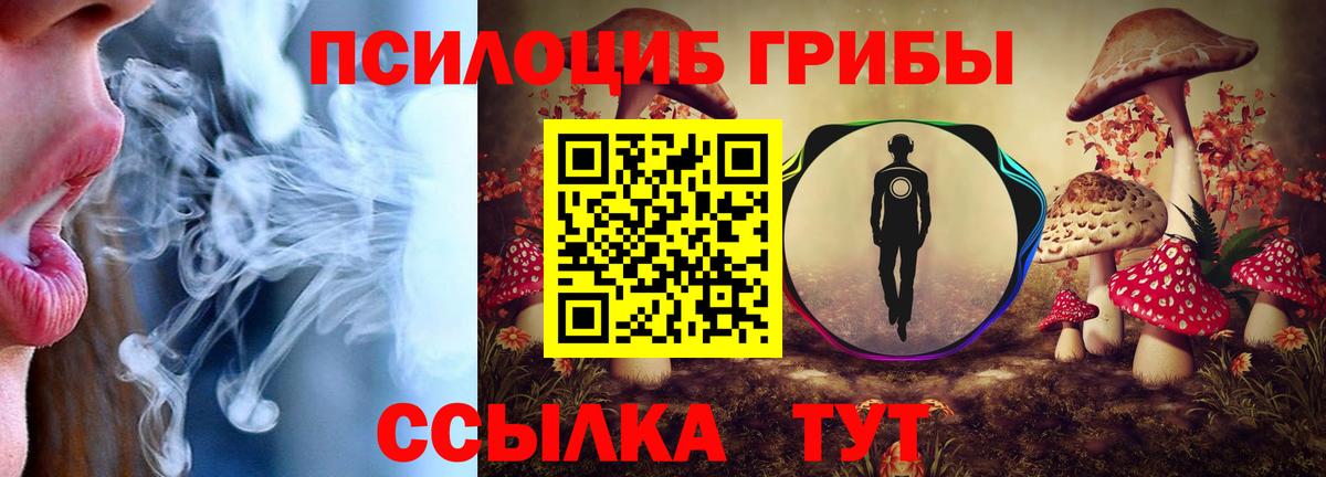 Псилоцибиновые грибы Magic Shrooms  Вход с VPN  Дмитров 