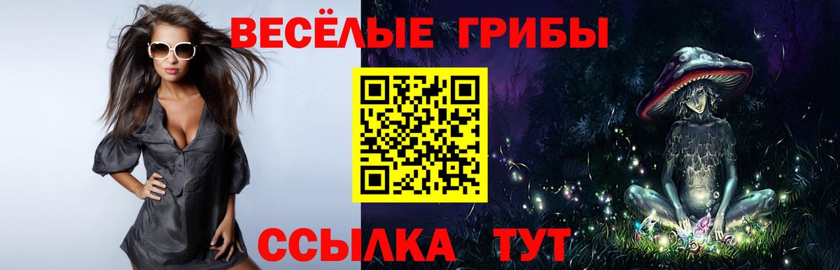 Галлюциногенные грибы ЛСД Дмитров